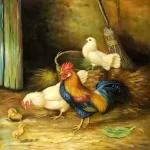 Cara Menjaga Pola Makan Ayam Agar Produksi Telur Maksimal