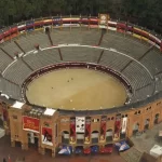 Panduan Lengkap Sabung Ayam Wala Meron untuk Pemula